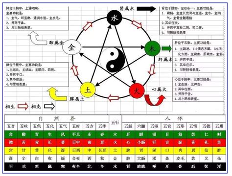 東方屬木 顏色|第17課十天干顏色、陰陽、五行方位、屬性、轉換關係等（珍藏。